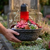 tételeket Oasis Fekete Biolit Plant Tál Virág Tál fekete Ø26cm