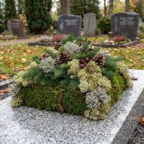 tételeket Dekoratív moha – valódi moha és zuzmó virágdíszekhez 250g