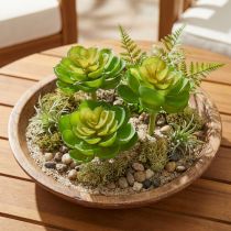 tételeket Echeveria Artificial Succulents Green Ø7cm 6 db