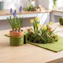 tételeket Filc szalag zöld gyapjú szalag moha zöld W7/15cm L1m/1m 2 db