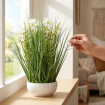 tételeket Dekoratív fű Cosmea virágokkal egy tálban H45cm