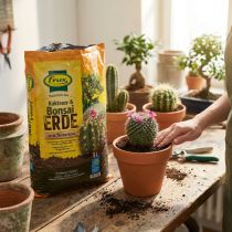 tételeket FRUX Soil kaktuszföld és bonsaiföld 5L