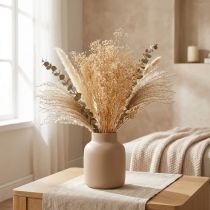 tételeket Gypsophila Árvácska Gipszfű Fehér virágok 50cm 55g