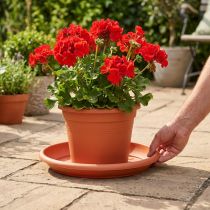 tételeket "Linda" alátét Ø37 cm terrakotta