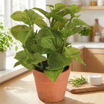 tételeket Menta cserépben Mesterséges gyógynövények Mesterséges növények 18cm 2db