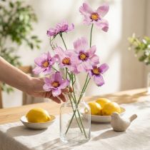 tételeket Cosmea ékszerkosár lila művirág nyári 51cm 3db