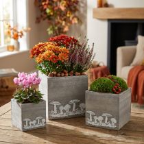 tételeket Fa gombás kocka, őszi díszek, növényes doboz 20/16/12 cm, 3 db-os készlet