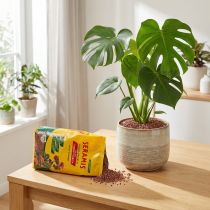 tételeket Seramis növény granulátum szobanövényekhez 2,5l