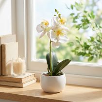 tételeket Mesterséges orchideák cserépben fehér mini orchideák Ø7cm H22cm