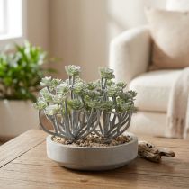 tételeket Stonecrop mesterséges pozsgások mesterséges növények 16cm 4 db