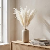 tételeket Szárított virágok, ezüstfű. Elegáns természetes dekoráció otthonra és irodába. 70 cm, 10 darab.