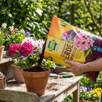 tételeket FRUX Soil Rhododendron és Erybean talaj 18l