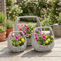 tételeket Fonott kosár füllel, szürke mosott, M43/34/27cm, 3 db-os szett