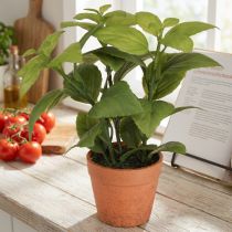 tételeket Mesterséges bazsalikom cserépben Fűszeres cserepes Műnövény 22cm 2db