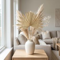 tételeket Palmspear Sun Natural pálmalevél szárított természetes dekoráció 30 db