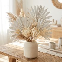tételeket Palmspear Sun mini fehérre meszelt 50 db
