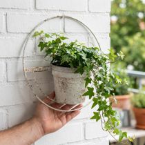 tételeket Virágcserép kopott elegáns fali dekoráció fehér fém felfüggesztéssel Ø37cm