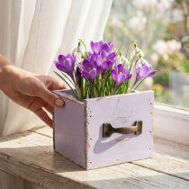tételeket Fiók Shabby Chic Deco Wood Lila Spring Deco 12,5×12,5×10 cm