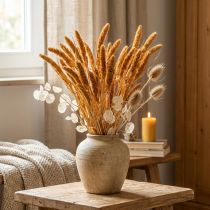 tételeket Szárított virágok Setaria Pumila Orange, sörtéjű köles díszes szem 72cm 200g