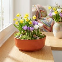 tételeket Z-alakú műanyag tál Ø16cm 10 db