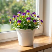 tételeket Műanyag edény „Irys” fehér Ø15cm H13cm 1 db