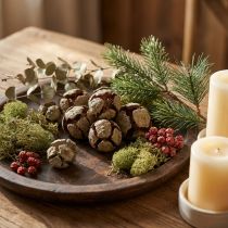 tételeket Ciprustobozok, natúr, 3 cm, 500 g