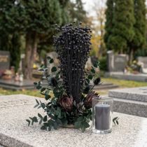 tételeket Szárított Len Díszfű, Fekete, 50-55cm, 80g
