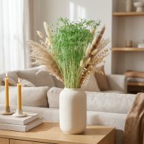 tételeket Szárított virágok, ernyősvirágzatúak, zöldek, 70-80 cm, 150 g