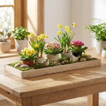 tételeket Dekoratív tálca hosszúkás fa tálca natúr 42×14×3cm 3db