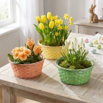 tételeket Növénykosár kerek Ø25cm narancs, sárga, zöld 6 db