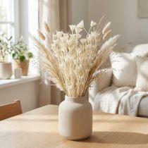tételeket Nigella Orientalis szárított virágok, fekete kömény, fehér, 50 cm, 100 g