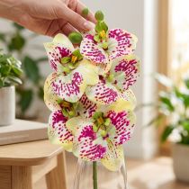 tételeket Mesterséges orchideaág Phaelaenopsis Green Pink H49cm