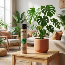 tételeket Oasis Floralife Leaf Shine Leaf Shine Spray 750ml