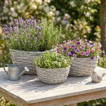 tételeket Fonott virágkosár szett, fehér-szürke, shabby chic dekoráció, 3 darabos