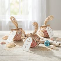 tételeket Tengerészeti díszkagyló-keverék hálóban, színes, 3,5-6 cm, 300 g × 3 darab