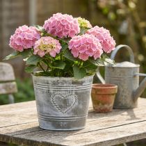 tételeket Shabby Chic fém virágcserép szív alakú mintával, Ø22cm, M17.5cm