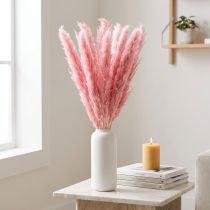 tételeket Szárazfű Rózsaszín Dekoratív Nádfű Pampa 70cm 10 db