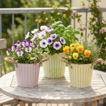 tételeket Ültetővödör, ültető fogantyúkkal, fém díszítéssel, rózsaszín/zöld/sárga shabby chic Ø16.5cm M15cm 3 darabos szett