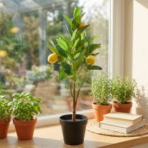 tételeket Műcitromfa cserépben, mediterrán dekoráció, műcitromnövény, M58cm