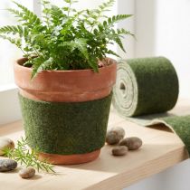 tételeket Filc szalag Franzi pot szalag gyapjú gyapjú filc sötétzöld 15cm 4m