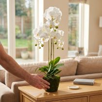 tételeket Mesterséges orchideák a cseréphez fehér 80cm