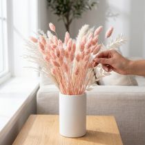 tételeket Phalaris rózsaszín fényes fű szárított száraz dekoráció 65cm 60g