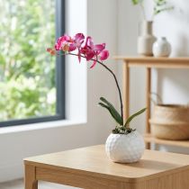 tételeket Mesterséges orchideák cserépben Phalaenopsis művirágok orchideák rózsaszín 34cm