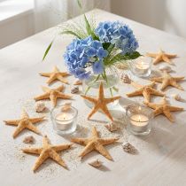 tételeket Tengeri csillag szórvány dekoráció otthoni deco mini tengeri csillag természet 2-4cm 50db