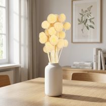 tételeket Craspedia szárított virágok krémdekoráció 20 db 50-55cm