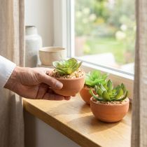 tételeket Mesterséges növények cserépben mesterséges pozsgások H9cm 3db