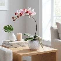 tételeket Rózsaszín orchidea kerámia cserépben 31cm