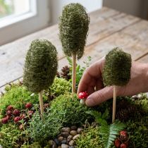 tételeket Luffa kis piskóta pálcikán uborka sötétzöld 5-7cm 25 db