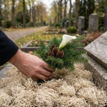 tételeket Dekoratív moha szárított erdei moha fehérített natúr dekoráció 300g