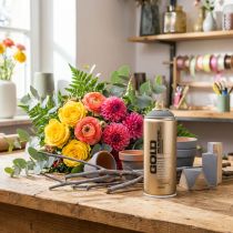 tételeket Spray Paint Spray Grey Montana Gold Roof Matt 400ml